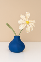 Noor-e-Naaz Vase set