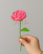 Khaaliq Blue Vase with Dark pink Rose