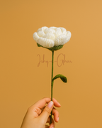 Khaaliq blue and white rose