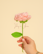 Khaaliq blue pink rose