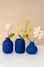 Noor-e-Naaz Vase set