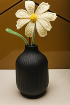 Noor-e-Naaz Vase set