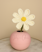 Phulera pink with 1 white Gesang